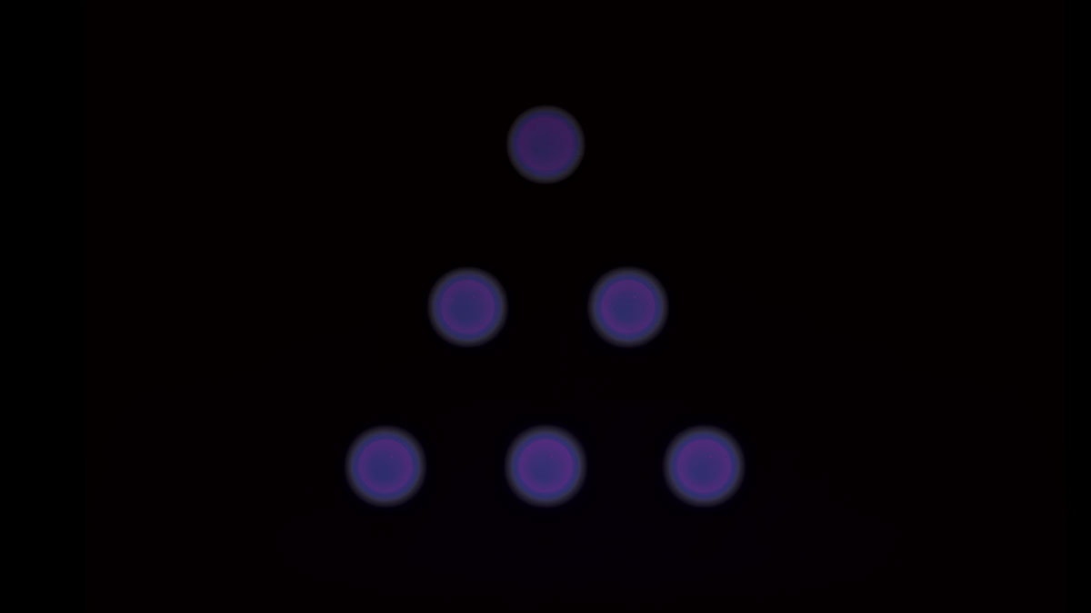 Muse Machine (@themusemachine) on Twitter photo 