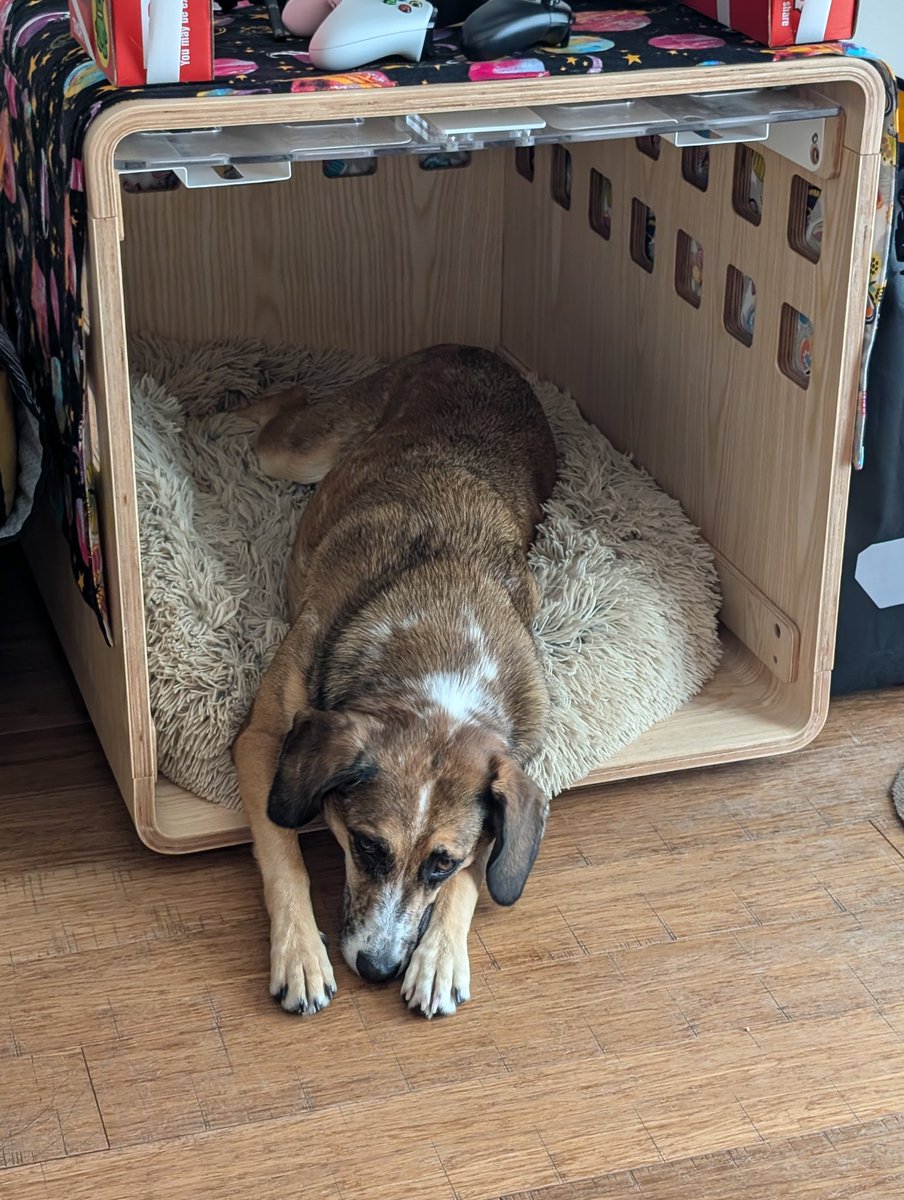 Cecile Chazot 🇨🇵🇺🇦 tweet media