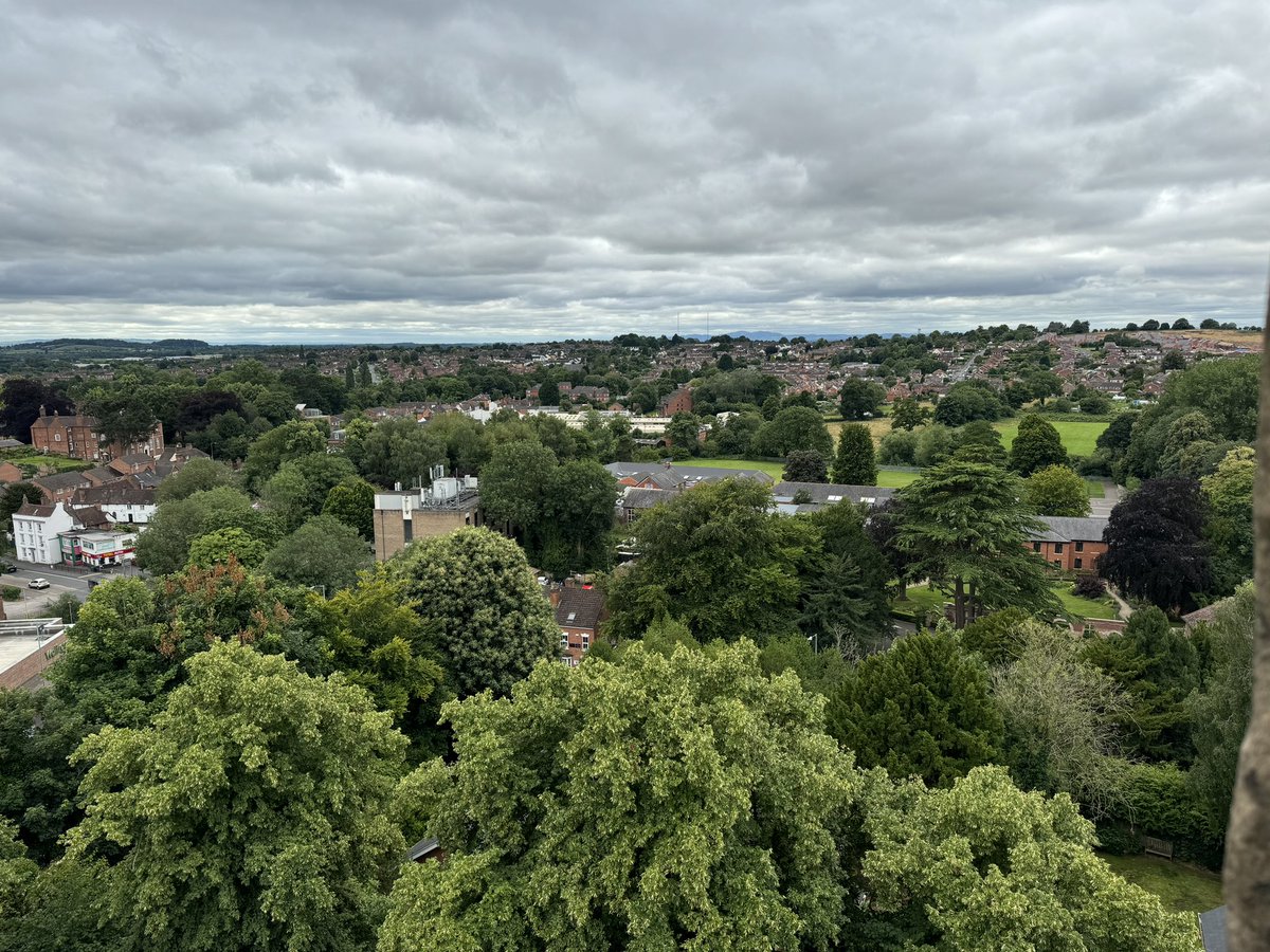 Bradley Thomas MP 🇬🇧 tweet media