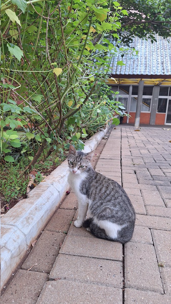 jroarr's tweet photo. kembang desa https://t.co/gQ2lL01x4c