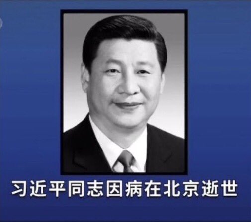 罗玉凤 tweet media