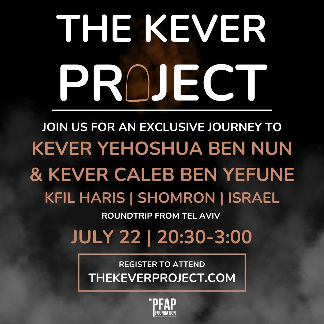 projectkever tweet picture