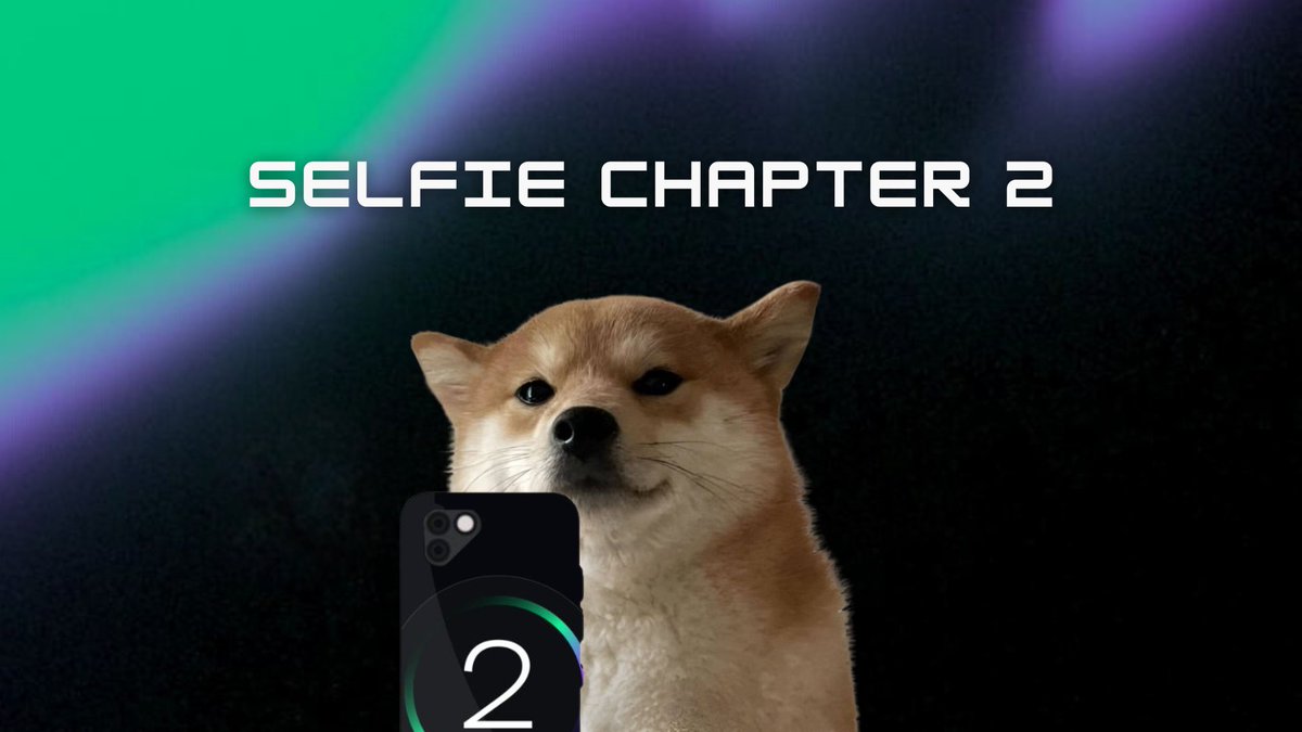 SelfieDog_SOL's tweet photo. Phone is ready for Chapter 2. https://t.co/dBF2XwJHZI