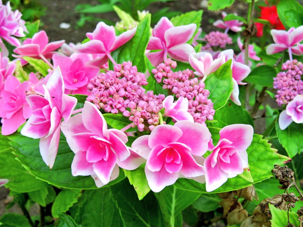 yoken8808's tweet photo. おはようございます☀毎日暑いですね！元気に笑顔😊で良い1日を過ごしてください😁 https://t.co/q6dgtL7zgP