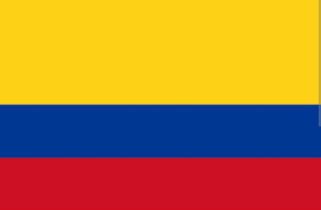 richardrivas7's tweet photo. Hermano Colombiano, cuando sientas desigualdad o injusticia en la Democracia, no te quedes callado.

Lucha, protégela y defiéndela, porque solo en Democracia se vive la Independencia.

🇨🇴 Feliz Día de la Independencia Colombiana 

#IndependenciaDeColombia #20dejulioxrtvc #20Julio https://t.co/iwD2UzJ7ek