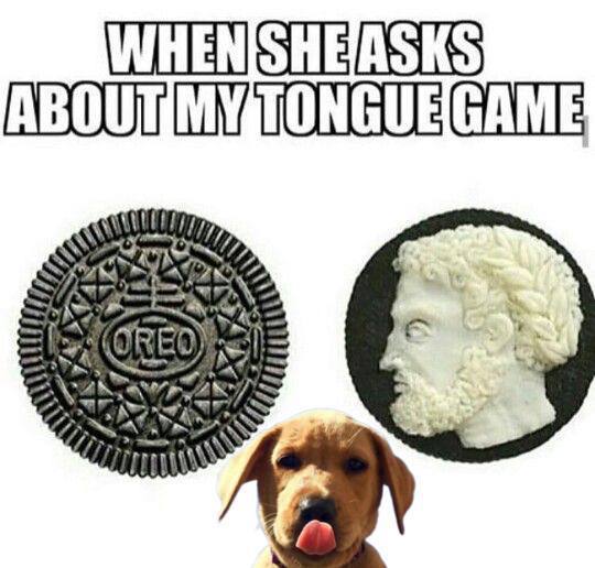 Wagmi Dog tweet media