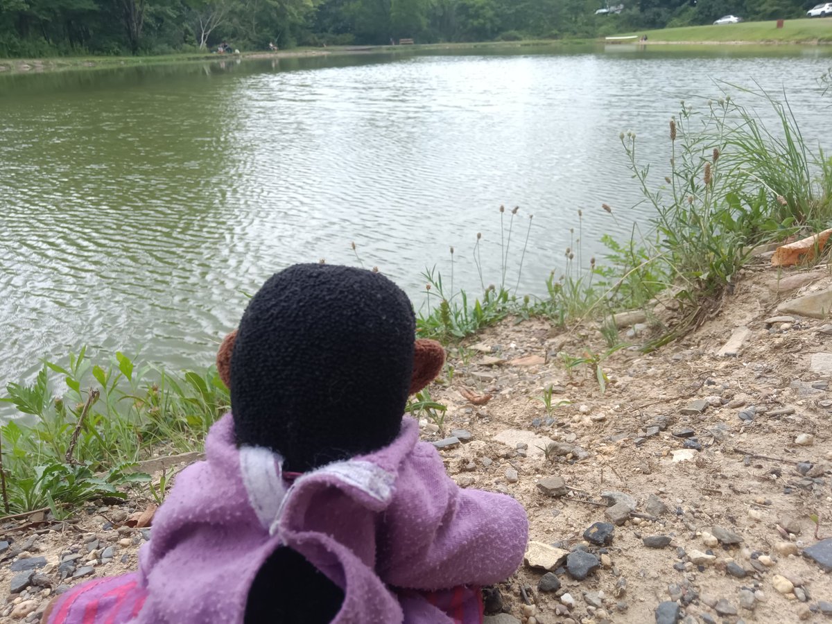 Mango_Mongo0's tweet photo. Went fishing today and didn't catch anything but at least I touched grass https://t.co/vfvpf3jFym