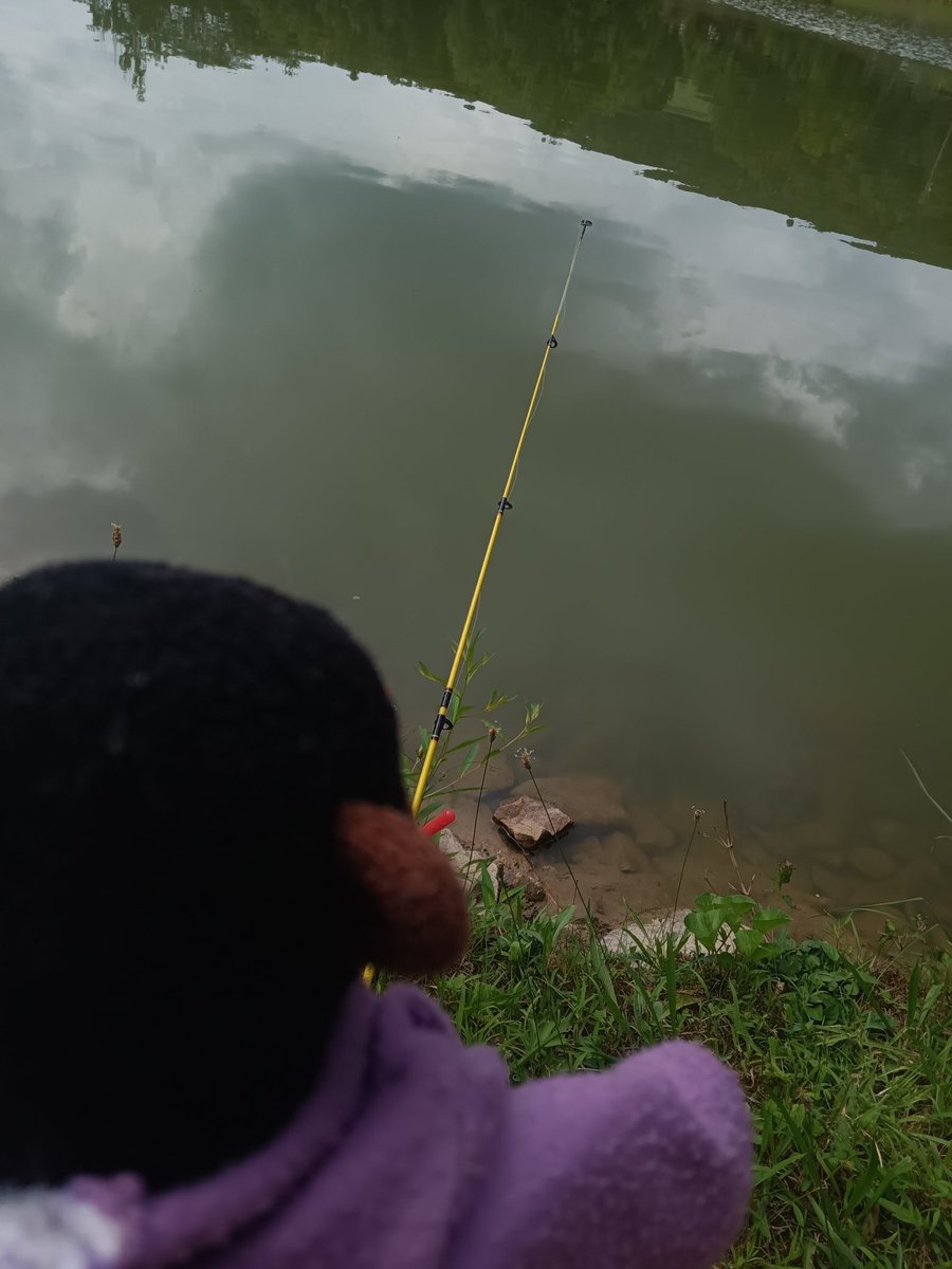 Mango_Mongo0's tweet photo. Went fishing today and didn't catch anything but at least I touched grass https://t.co/vfvpf3jFym