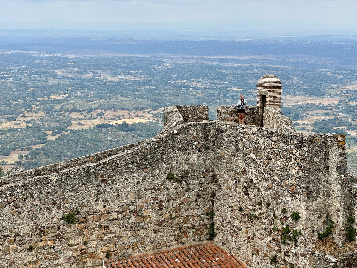 Rob Lang tweet media