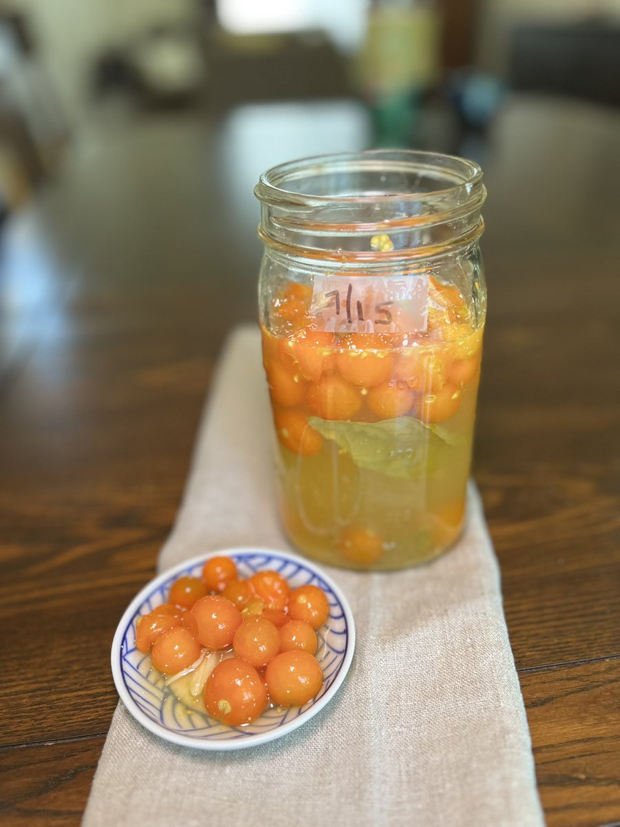 SareneWallace's tweet photo. Have you fermented cherry tomatoes? How do you use them?
I’m thinking bruschetta. And???

Cc:
@ZeroWasteChef https://t.co/0lNuBYhYbt