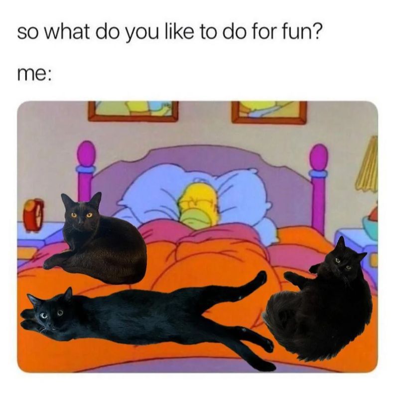 WholesomeMeme's tweet photo. https://t.co/2H7WxRX77y