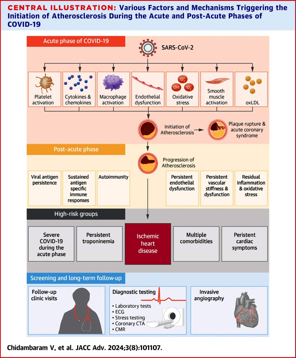 Amudha Kumar (@amudhakumar5) on Twitter photo So excited for everyone to read this!
Our manuscript <a href="/JACCJournals/">JACC Journals</a> #JACCAdvances explores direct pathogen effects of SARS-CoV-2 and the resultant systemic or organ-specific inflammatory response that drives atherosclerosis initiation and progression.
<a href="/LUcardsfellows/">Loyola Cardiology Fellows</a> So excited for everyone to read this!
Our manuscript <a href="/JACCJournals/">JACC Journals</a> #JACCAdvances explores direct pathogen effects of SARS-CoV-2 and the resultant systemic or organ-specific inflammatory response that drives atherosclerosis initiation and progression.
<a href="/LUcardsfellows/">Loyola Cardiology Fellows</a>