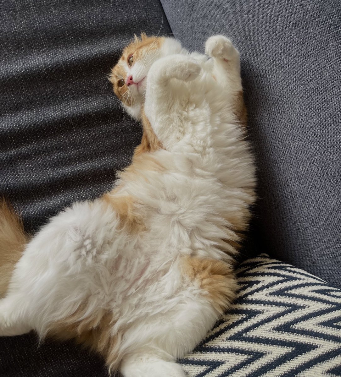 iyi ki dogdun kizimmm (somonlu yas mamiklerinizi bekliyoruz