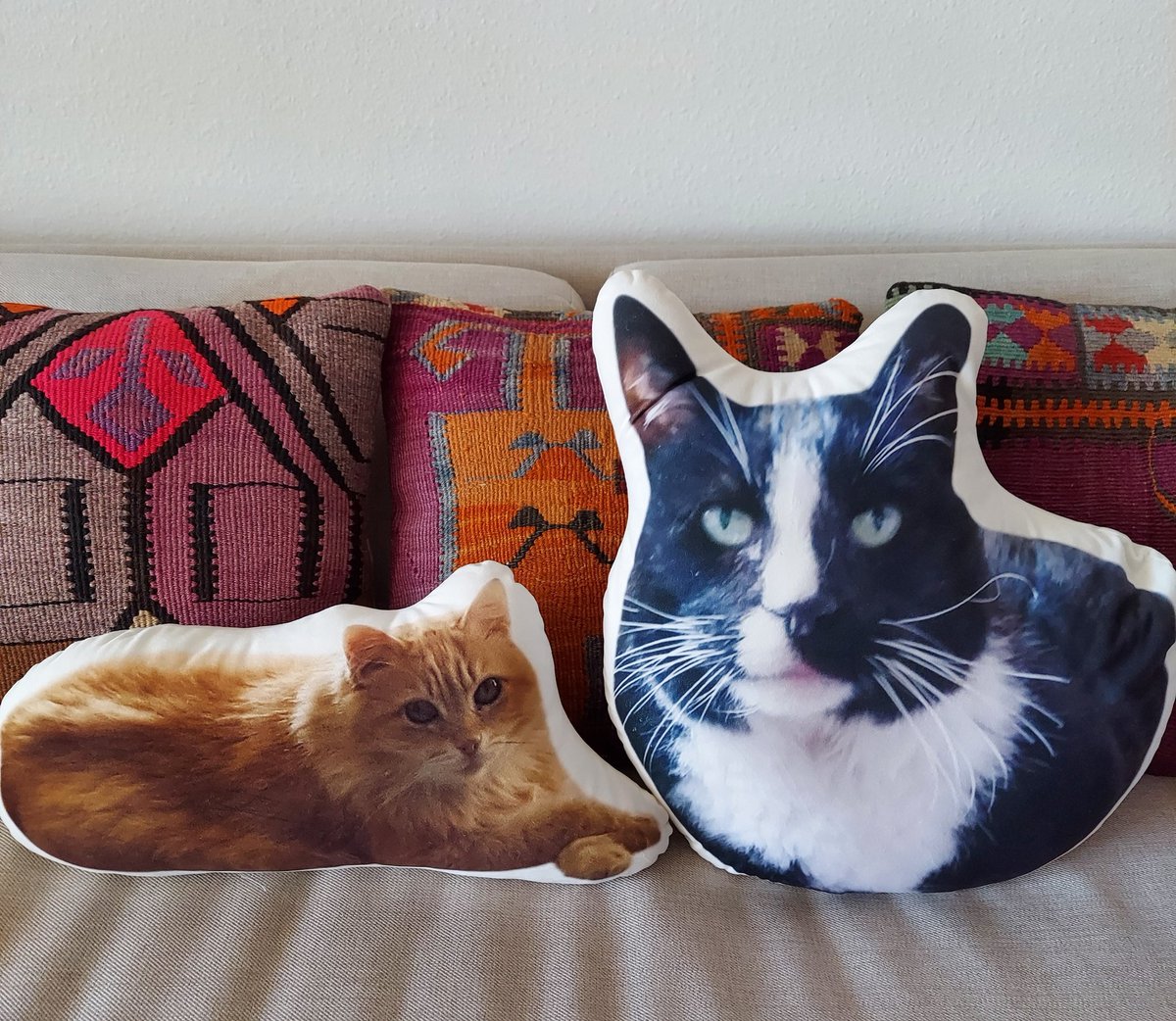 HoagDa's tweet photo. @TheRealThelmaJ1 Happy Caturday Thelma. My boys Eddie and Wally have passed on. But still with me. https://t.co/SPP56Bmq3O