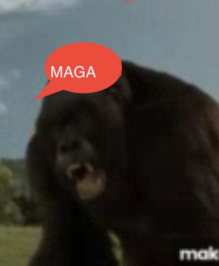 Mattstradameus's tweet image. Yeah.. this is ME!!! Always has Been! 
DEAL W/ IT!!! #Retail #DWAC #AMC #GME #MMTLP #MEMESTOCKS!!!