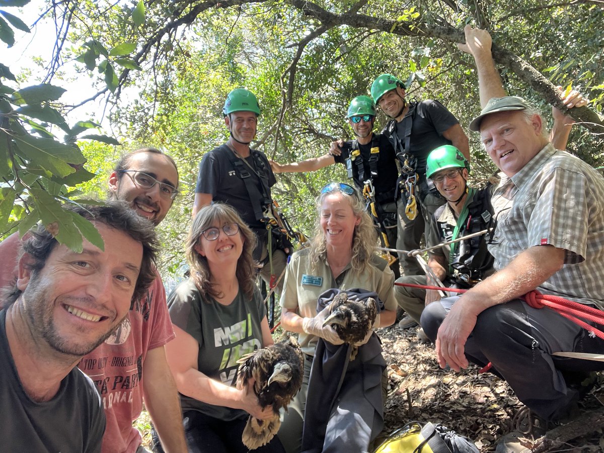 Equip de Biologia de la Conservació - UB tweet media