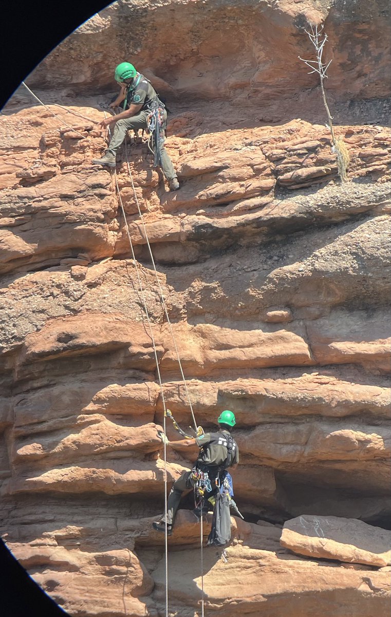 Equip de Biologia de la Conservació - UB tweet media