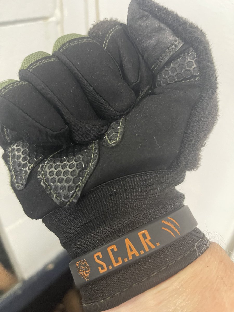 CoachFreier's tweet image. Awesome #Commit2Prepare workout this morning!  Bis, Tris, Shoulders, Legs.  @FHS_tigersfb #KeepUptheFire