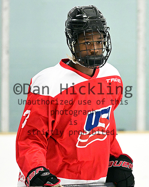 DanHickling's tweet photo. New pics of #USAHPDC #TeamRed 09s now up on their @eliteprospects pages ... Also coming to select @_Neutral_Zone pages ... from @usahockey #Select15s in Buffalo ... Check 'em out! @mhick1953 https://t.co/LAJ9ZlmSqh