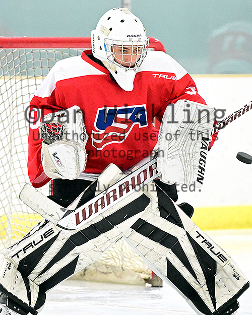 DanHickling's tweet photo. New pics of #USAHPDC #TeamRed 09s now up on their @eliteprospects pages ... Also coming to select @_Neutral_Zone pages ... from @usahockey #Select15s in Buffalo ... Check 'em out! @mhick1953 https://t.co/LAJ9ZlmSqh