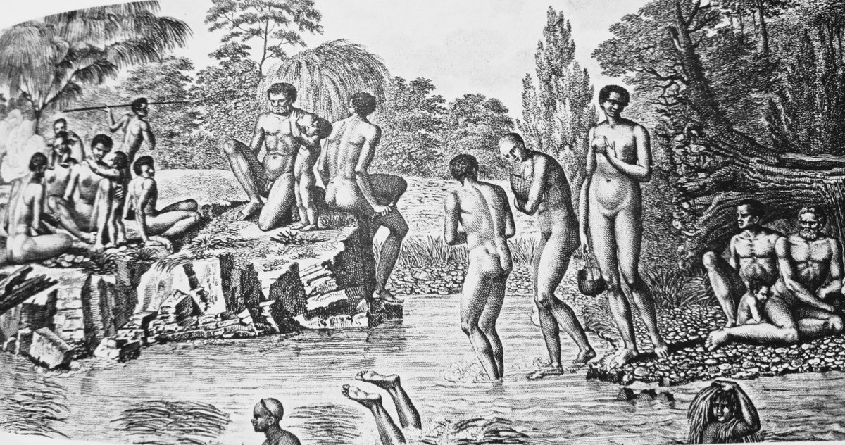 Always loved this image of Tasmanians, showing their pre-contact life, certain women were the ones responsible for diving for shellfish and seaweed, shaving their heads, older men looked after the kids. They didn't catch fish.