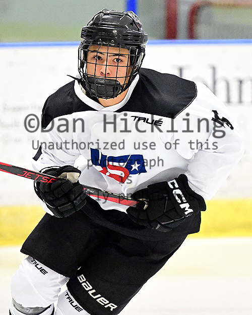 DanHickling's tweet photo. New pics of #USAHPDC #TeamWhite 09s now up on their @eliteprospects pages ... Also coming to select @_Neutral_Zone pages ... from @usahockey #Select15s in Buffalo ... Check 'em out! @mhick1953 https://t.co/yQJ5dk8Yvz