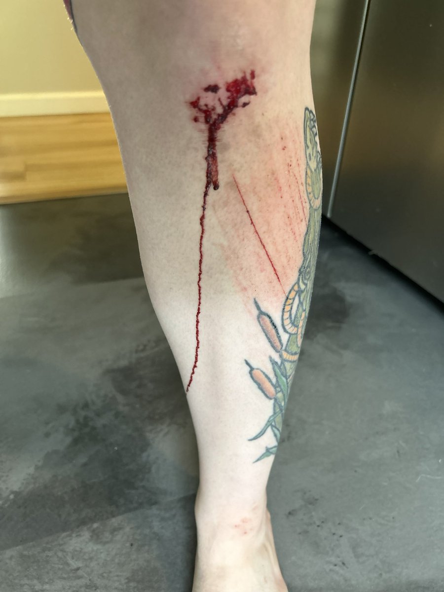 Vex Voltage’s pics and videos