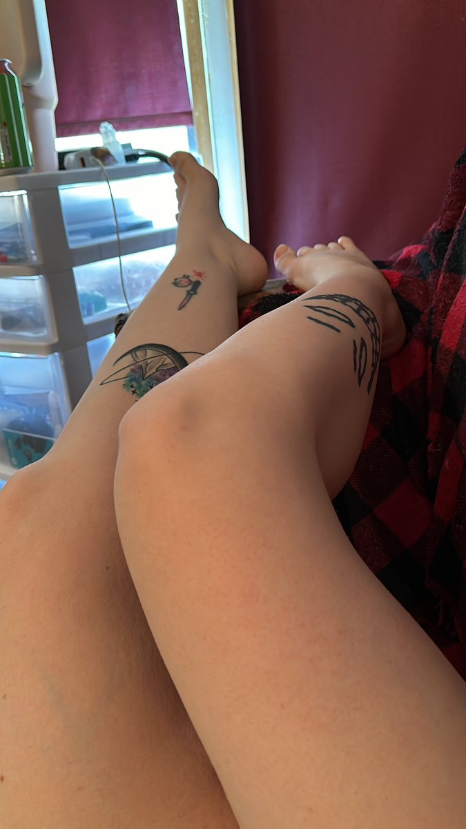 Lily DesertWave 🔮🌈🏳️🌈🦄 tweet media