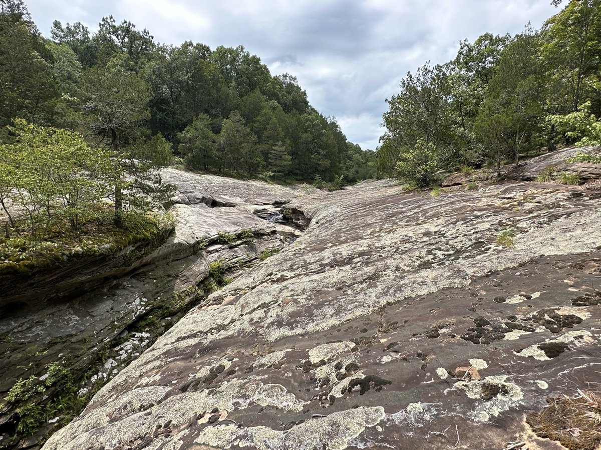chrisasimpson's tweet photo. Hit 3 different trails today-Rim Rick National Recreation Area, Bell Smith Springs &amp; Jackson Falls, all in the #ShawneeNationalForest https://t.co/2OLHxp01lC