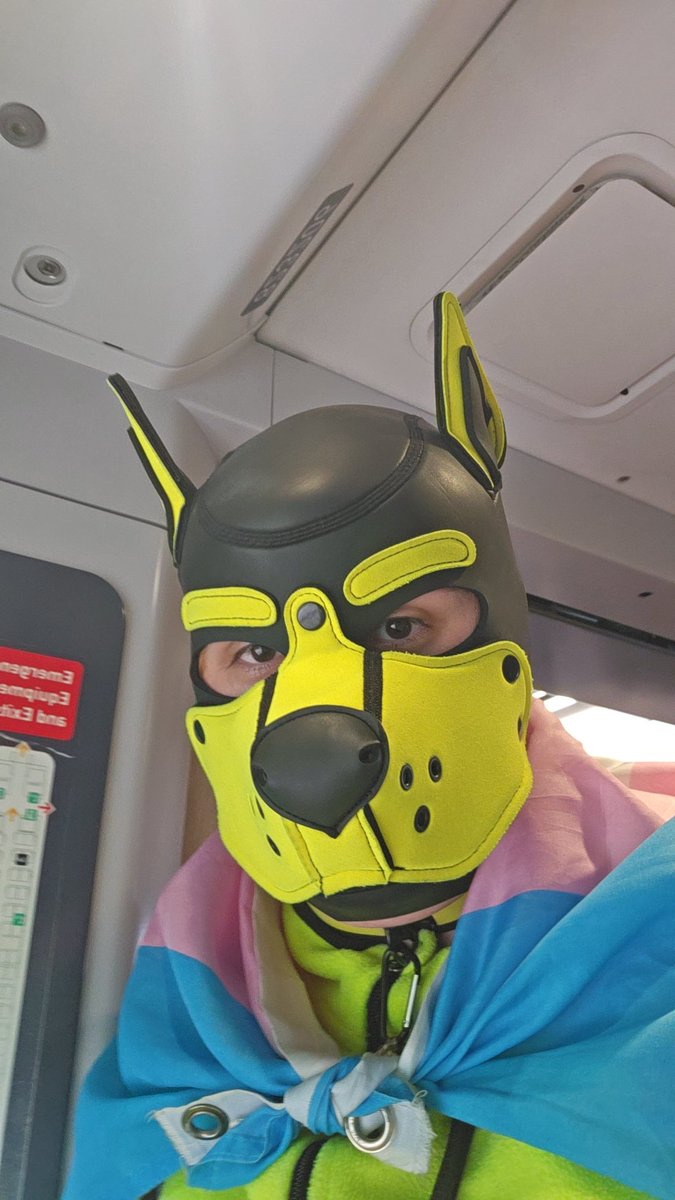 HiVisLowlander's tweet photo. Newcastle Pride, OMG. What a vibe it was. The hustle and bustle of the stalls and everyone were brilliant. Thoroughly enjoyed everything. Sadly, it was just too hot to withstand.
#humanpup #pupplay #newcastlepride #Newcastle https://t.co/950GNtufnQ