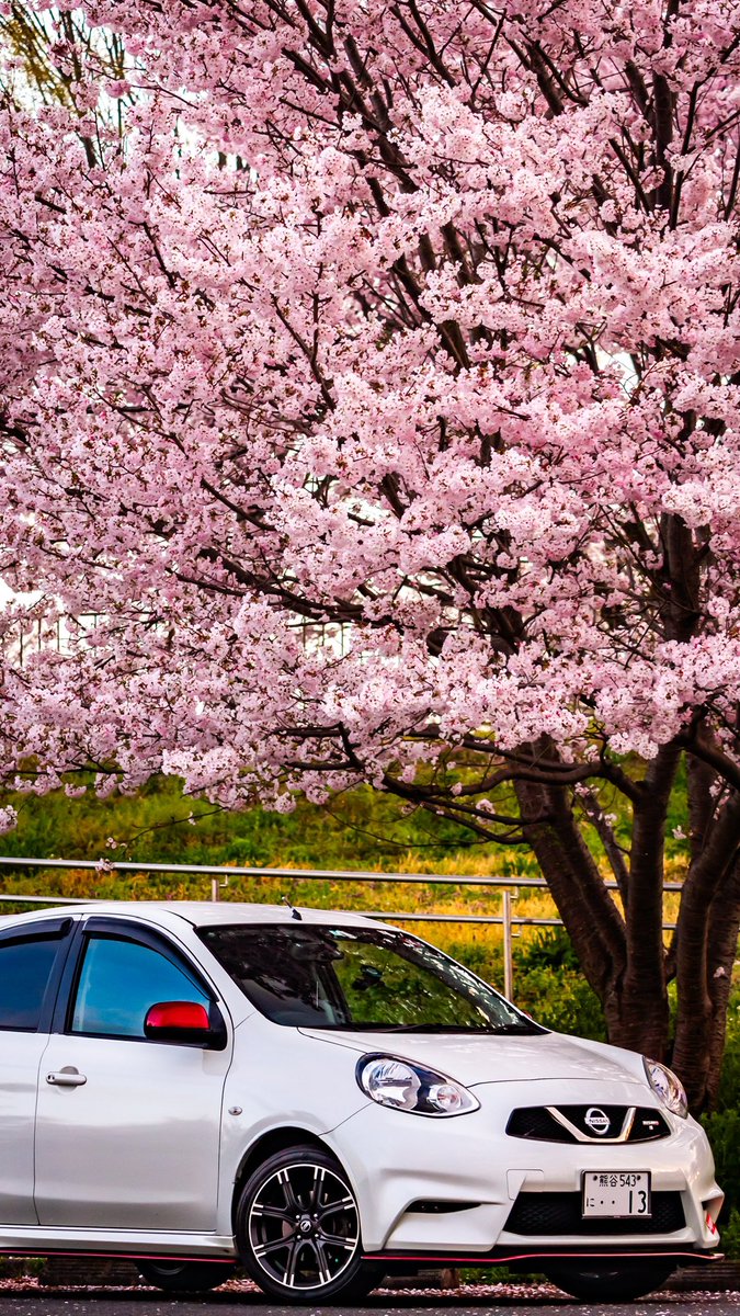 _takuto23's tweet photo. #日産乗りと繋がろう2024年夏 https://t.co/4BPOUEPhBG