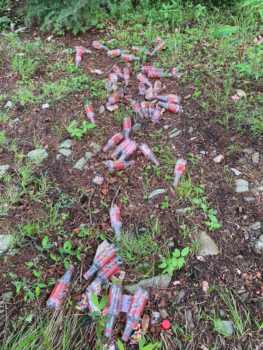 iPradeepSangwan's tweet photo. Found so many of these energy drinks during our cleanup 

Trekkers heavily depends on it while trekking is unfortunate 

Let’s be more aware ☘️

#HealingHimalayas https://t.co/85d0jwAxuQ