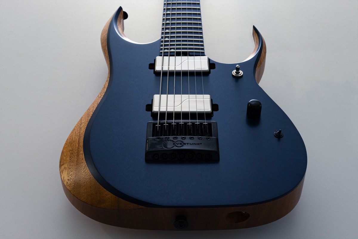 RGD Prestige 7Strings Limited Model】 チューニングの安定化を求めた