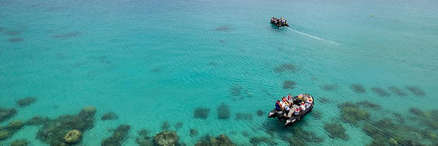 Captain Cook Cruises Fiji tweet media
