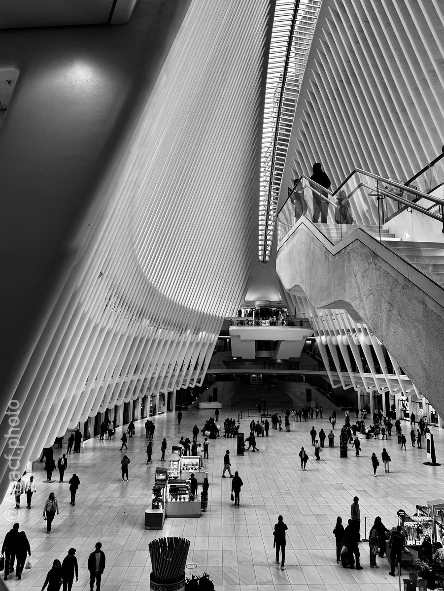 AnacfPhoto's tweet photo. It's not the usual angle, but I really liked it when I saw it.

#blackandwhitephotography #bwphoto #bnwphotography #blackandwhitephoto #nyc #urbanphotography #travelphotography #architecture https://t.co/FdqDBk93oQ