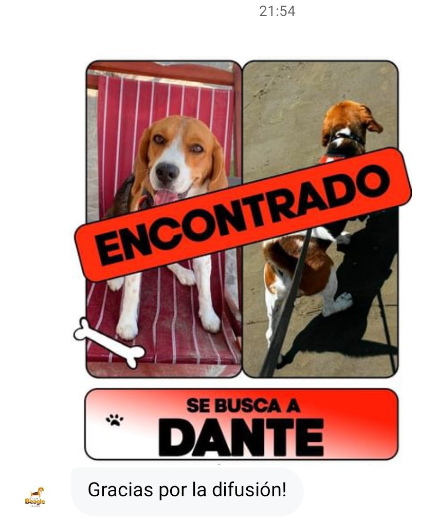 Nos complace informar que #DANTE, ya se encuentra con sus tutores, gracias a tod@s por compartir la información.