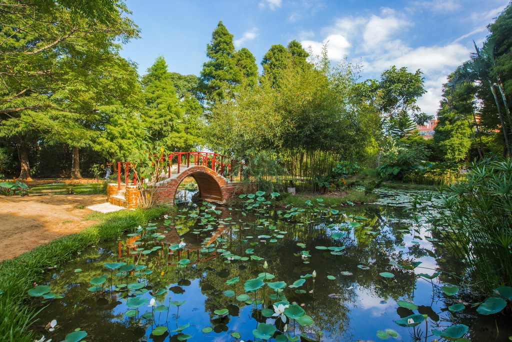 TECO_PH's tweet photo. #HaveFunInTaiwan🇹🇼
Come sit on this giant Victoria lotus leaf ⋆。˚🌷˙✧˖°
Lotus Farm #Ranch in Taoyuan is famous for its giant Victoria lotus leaf which tourists can sit on top of giant the water lily and get their pictures taken! 📸
Photo Courtesy: City Government of Taoyuan https://t.co/4n5XO42dz0