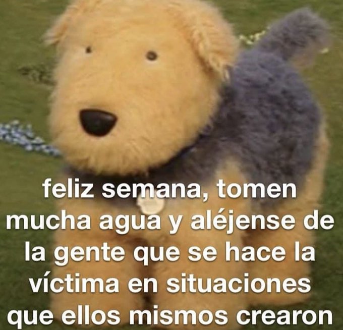 🫶🏻 https://t.co/SOtlpoMiyi