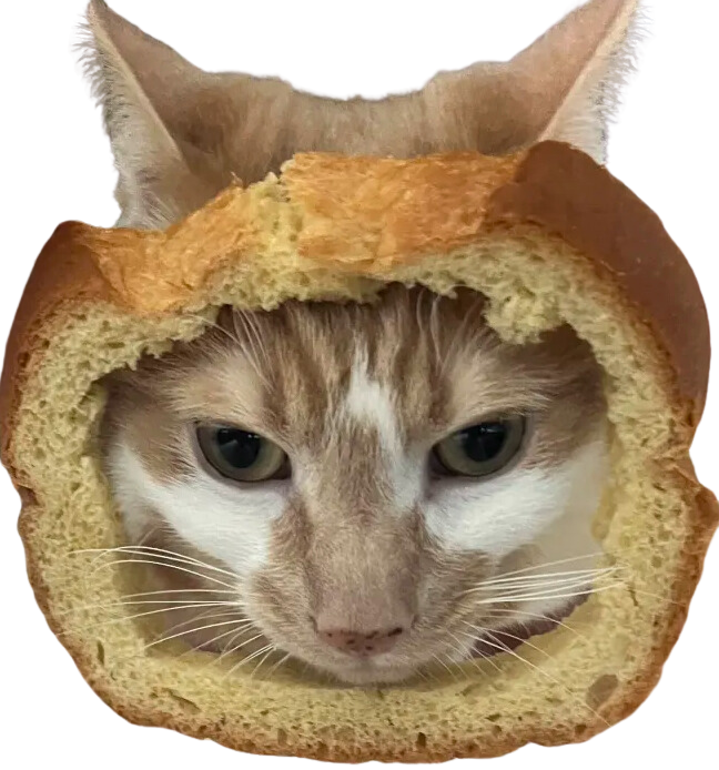 warm and toasty on Solana. Coming soon to a mainnet near you 🐈🍞