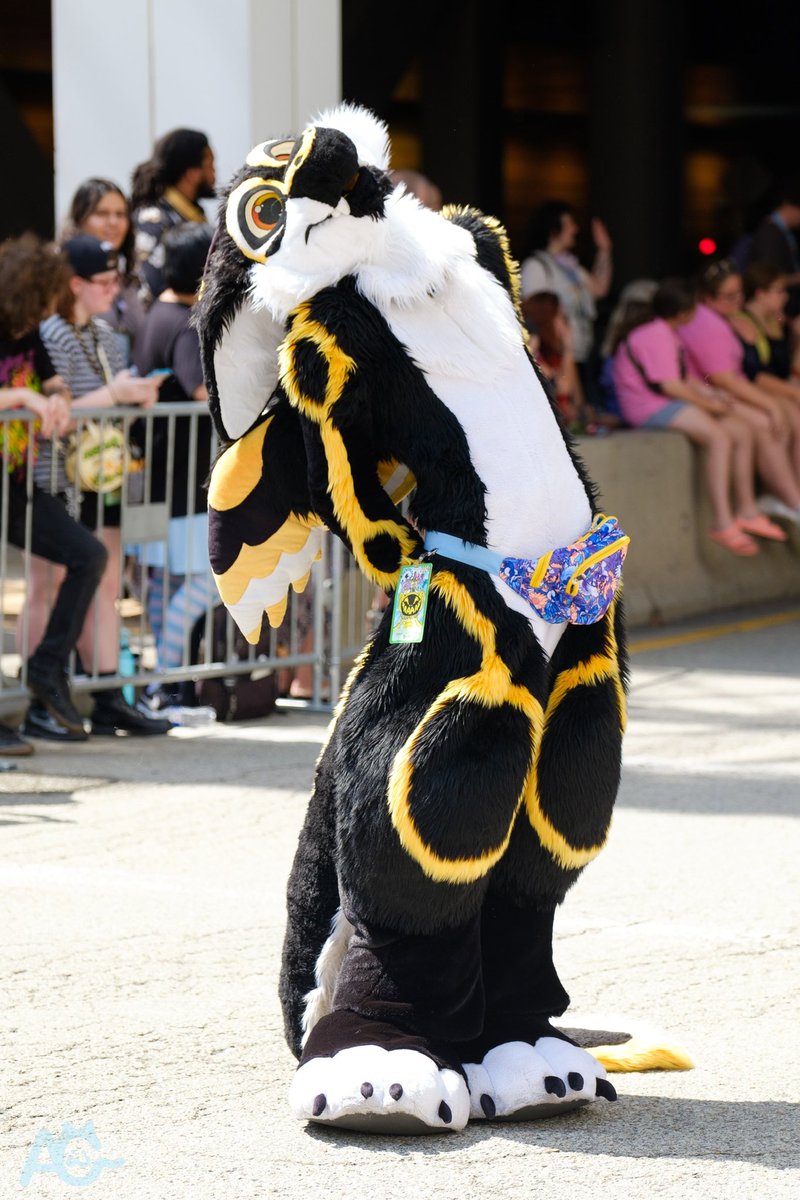 GoobIsACat's tweet photo. Some of my favorite shots that I got during Anthrocon so far. Took so many 😭

Made so many new friends, meet up with old ones, and met one of my favorite suiters. This one will stick with me for a while. #Anthrocon #AC2024 https://t.co/ar4HL3nyNn