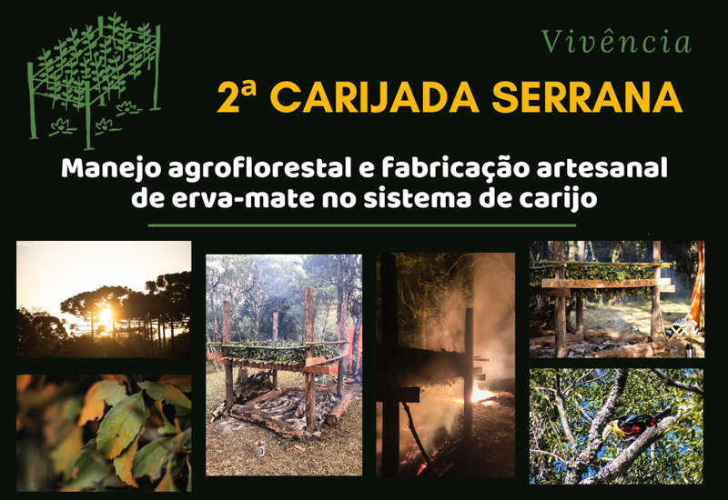 Evento que aconteceria em maio já firmou nova data!

Serão 3 dias para experienciar um feitio ancestral da erva-mate. Na sexta, sábado e domingo (26, 27 e 28 de julho), na Fazenda das Taipas, localidade de Caconde, São Francisco de Paula.
coletivocatarse.com.br/2024/07/08/2a-…