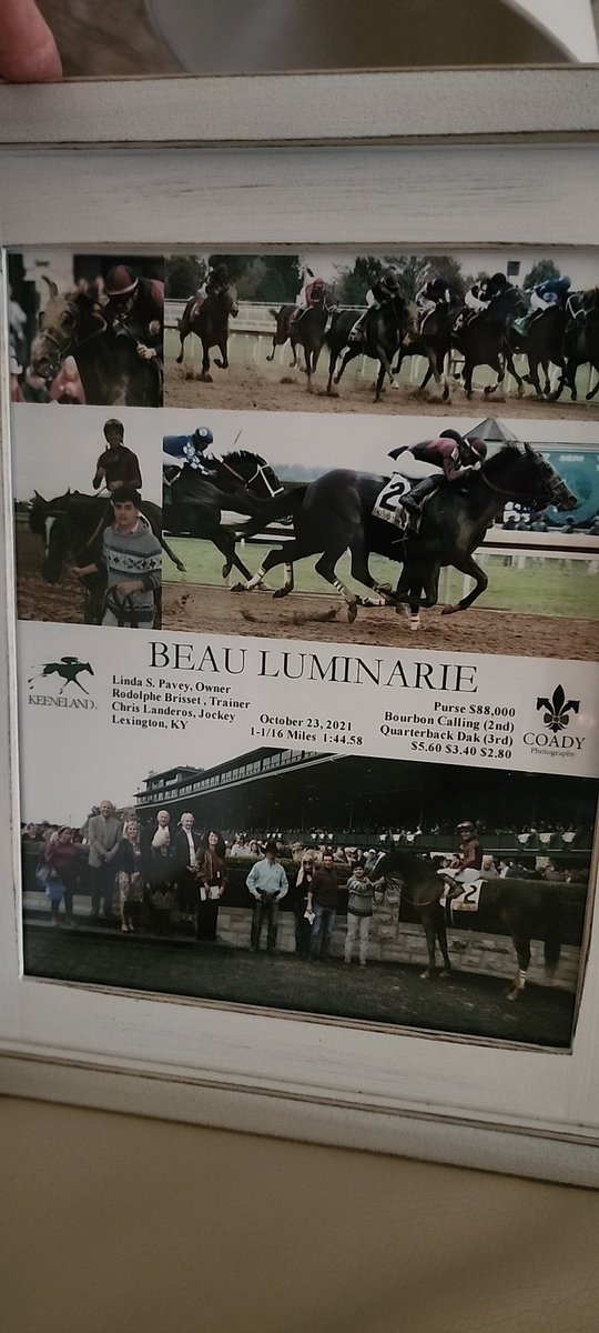 Linda S Pavey 🐾🏇🌿☀❤ (@lindasp62) on Twitter photo <a href="/USASteeplechase/">Steve Coxon Racing 🏇</a> <a href="/jose93_ortiz/">Jose Ortiz</a> My homebred, Beau Luminarie, here after winning The Claiborne Cup. Final stats: 21-4-9-5.
I still own him.
He is now doing Dressage.
<a href="/ChrisLanderos01/">chris landeros</a> <a href="/USASteeplechase/">Steve Coxon Racing 🏇</a> <a href="/jose93_ortiz/">Jose Ortiz</a> My homebred, Beau Luminarie, here after winning The Claiborne Cup. Final stats: 21-4-9-5.
I still own him.
He is now doing Dressage.
<a href="/ChrisLanderos01/">chris landeros</a>