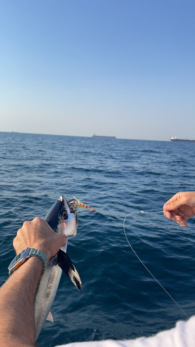 Ladureedxb's tweet photo. 🎣 https://t.co/r0B3MAjyjz