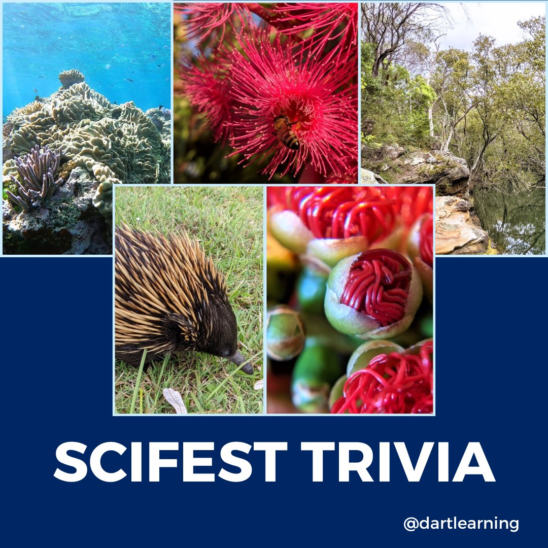 DARTLearningNSW's tweet photo. Explore the realms of knowledge with our Lunchtime Trivia at SciFest! 
Register Now: https://t.co/7SEeuV2CX2

#SciFestTrivia #ScienceEducation #ExploreDiscoverLearn #DartLearning https://t.co/9sFLtaGW0U