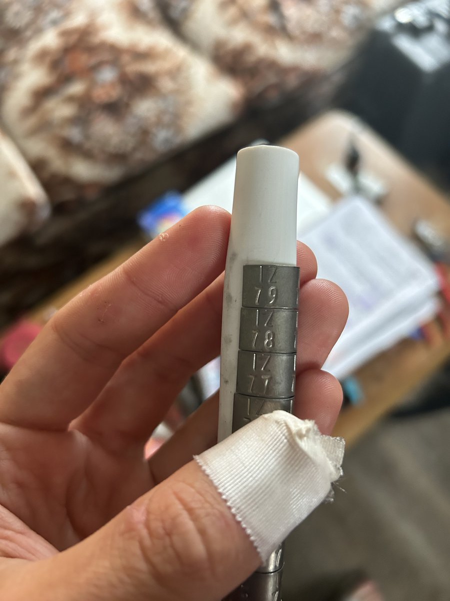 ALAR - Atlantic laboratory for Avian Research tweet media