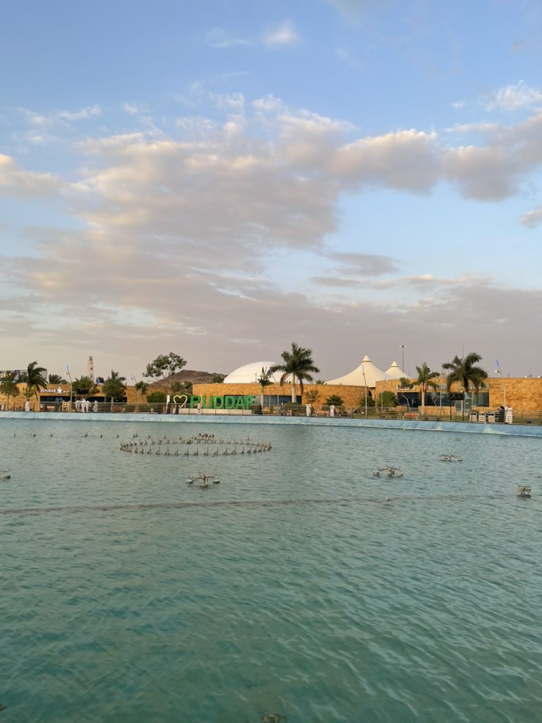 منتزه الردف بالطائف🌿🤍#الطائف