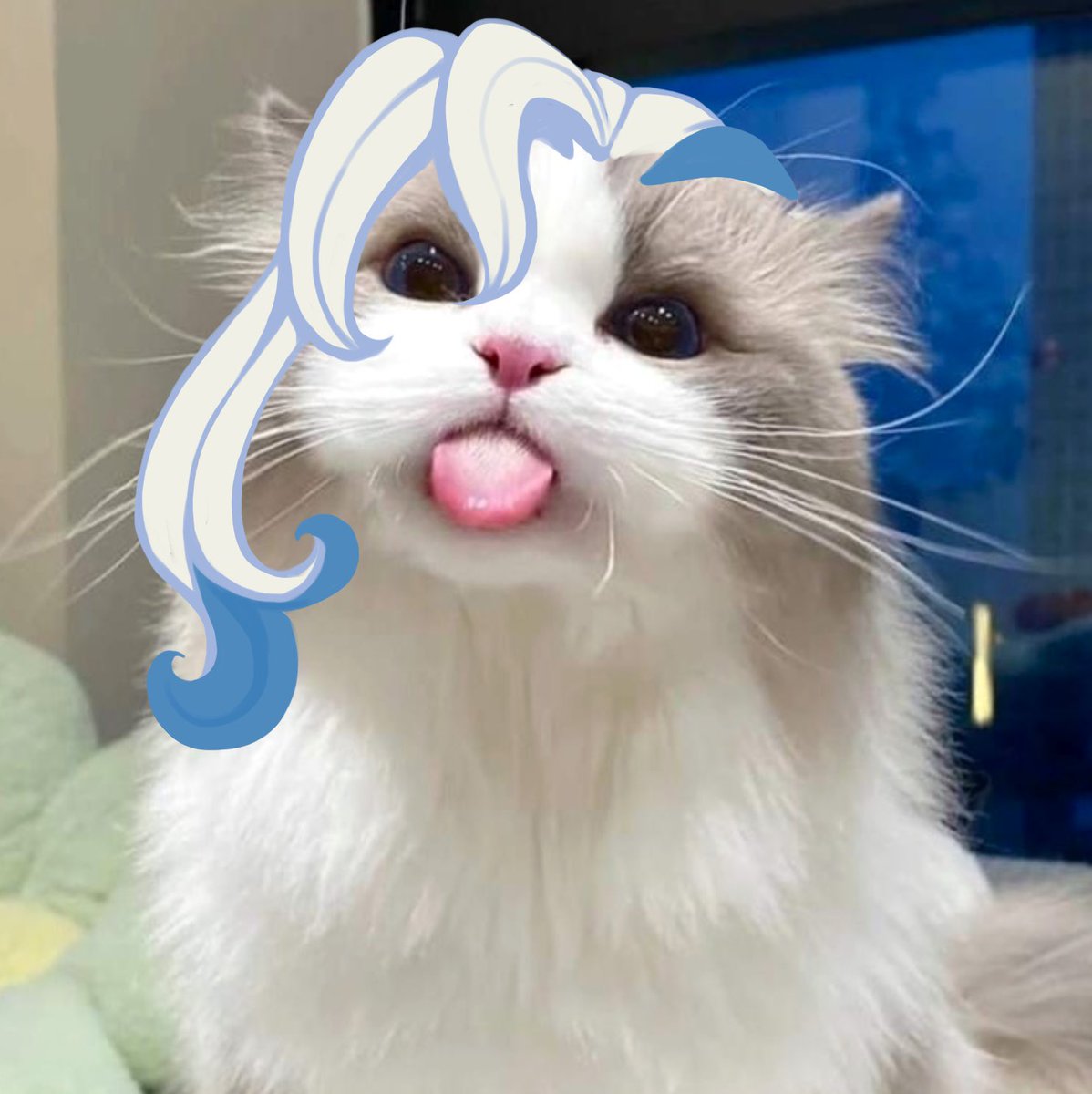 Squeese tweet media