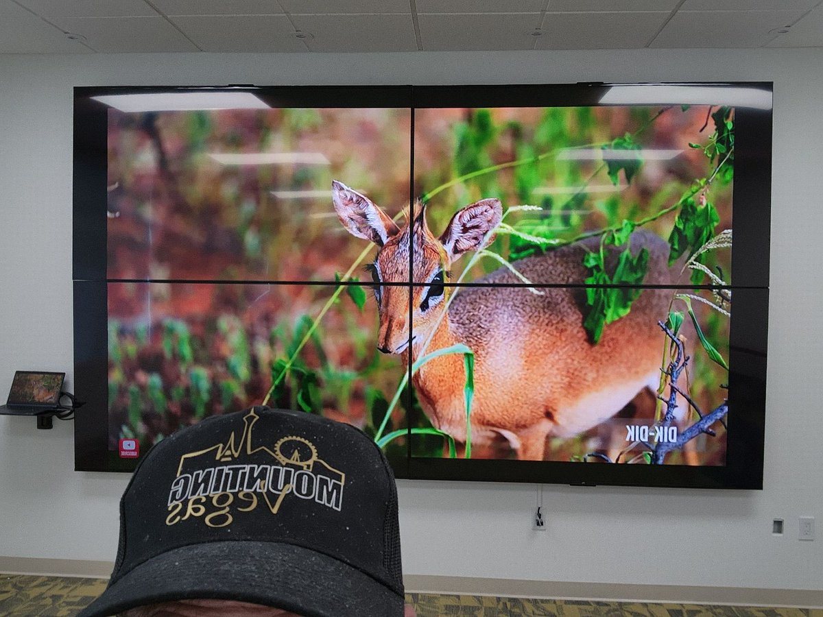MountingVegas's tweet photo. Recent video wall by Mounting Vegas. https://t.co/itmiSKrRCa