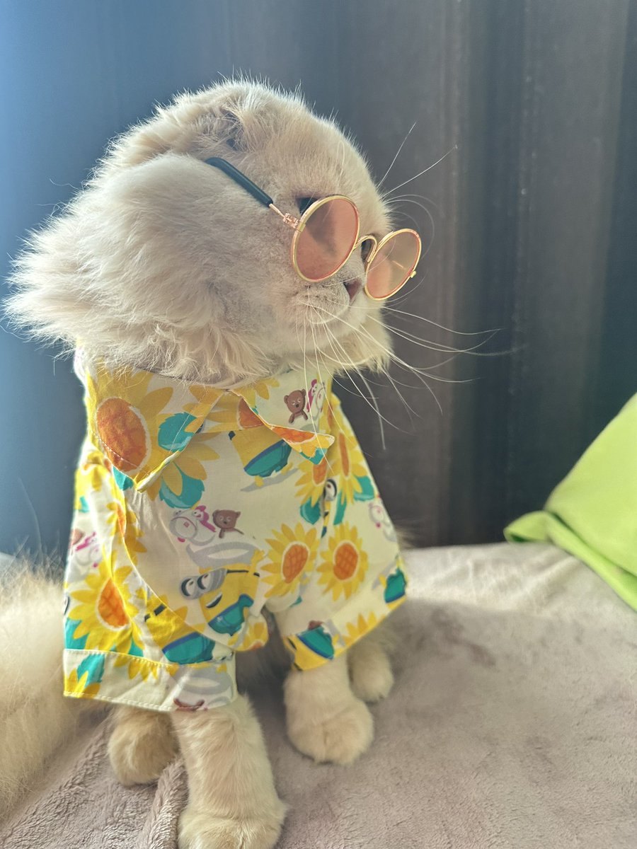 ななまる✨️🎀✨️ (@nanamaru7180) / Posts / X