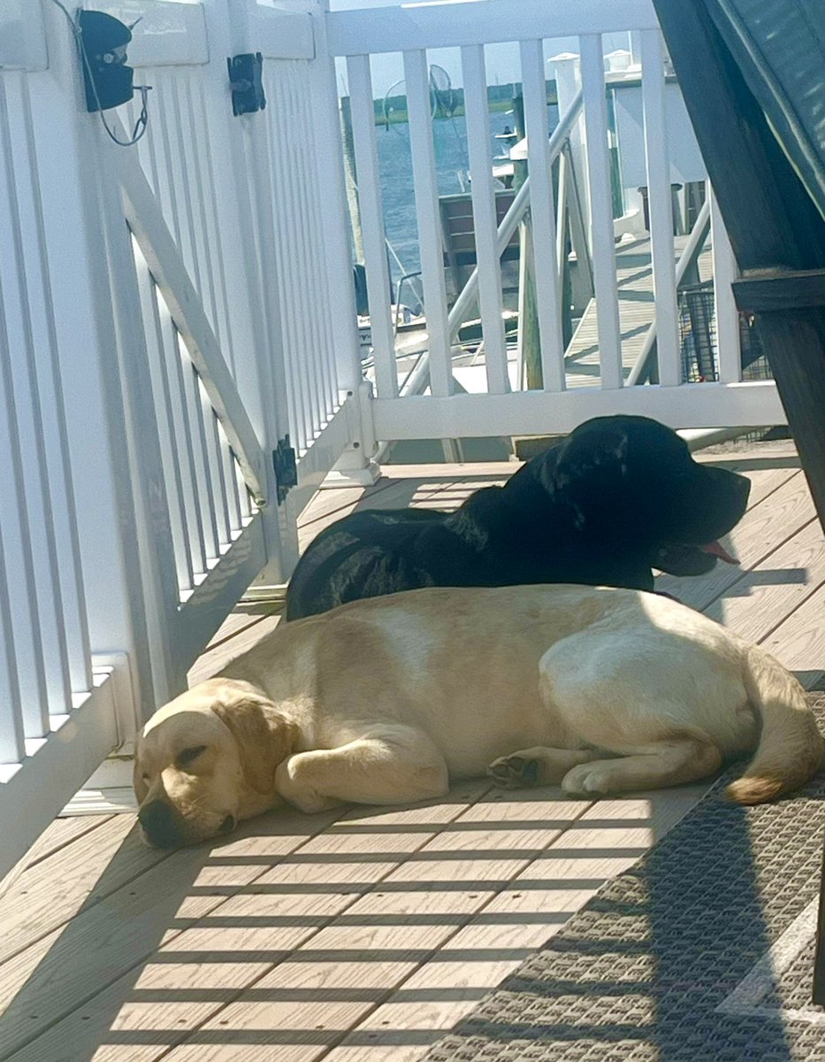 ovidangles8's tweet photo. Last week during @PwC’s summer shut down, I spent the week with my family relaxing and enjoying summer. I’m proud PwC gives our people a much-deserved oppty to rest and recharge. I’m excited to be back - everyone looks refreshed and eager to get back to business! #pwctakesabreak https://t.co/HWSMHv4K9j